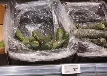 Šventinis Norfos pasiūlymas