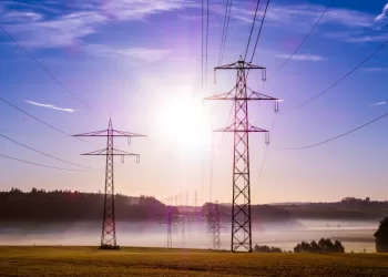 Vyriausybė patvirtino kompensacinį dydį papildomai dedamajai prie persiuntimo paslaugos kainos