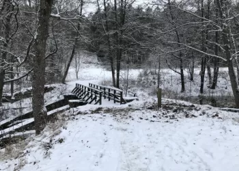 Saugomose Teritorijose Lankytojus Fiksuos Skaičiuotuvai