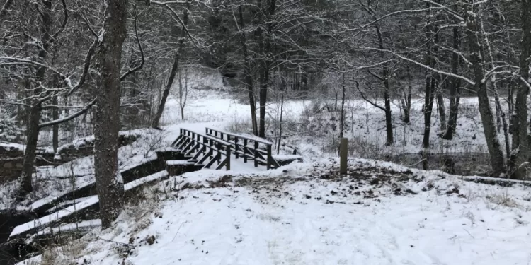Saugomose Teritorijose Lankytojus Fiksuos Skaičiuotuvai Saugomose Teritorijose Lankytojus Fiksuos Skaičiuotuvai