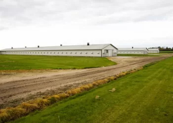 Sanitarinės Apsaugos Zonose Jau Esantiems Sklypams Bus Taikomi Ne Tokie Griežti Ribojimai