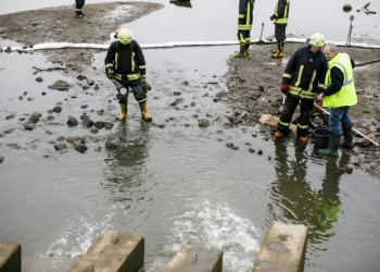 Aiškiau Reglamentuotas Pažeistos Aplinkos Atkūrimas Po žalą Gamtai Sukėlusių įvykių