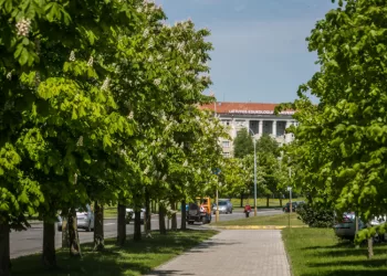 Geresnei želdinių Apsaugai – įstatymų Pakeitimai