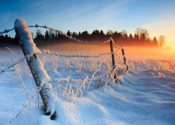 Kokių Orų Sulauksime Paskutinę Metų Savaitę?