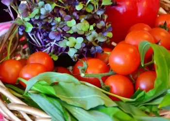 Darželiai, Siekiantys Maitinti Vaikus Pagal Kokybės Sistemas Pagamintais Lietuviškais Produktais, Turėtų Suskubti