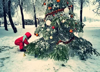 Imbieru kvepiantis Kalėdų laukimas Giliogirio kaime
