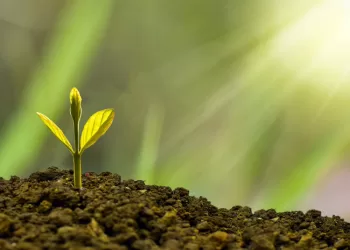 1 Mlrd. Eurų Lietuvos Ekonomikai: žaliosioms Inovacijoms – 5 Mln. Eurų