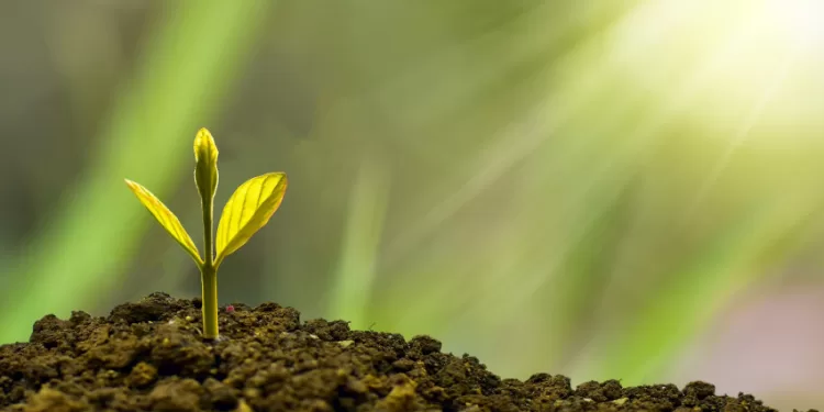 1 Mlrd. Eurų Lietuvos Ekonomikai: žaliosioms Inovacijoms – 5 Mln. Eurų