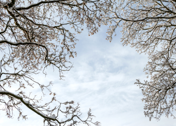 Svarbiausi Pokyčiai Aplinkosaugos Srityje: Kas Keisis Nuo Naujųjų