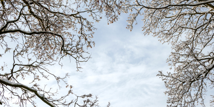 Svarbiausi Pokyčiai Aplinkosaugos Srityje: Kas Keisis Nuo Naujųjų Svarbiausi Pokyčiai Aplinkosaugos Srityje: Kas Keisis Nuo Naujųjų