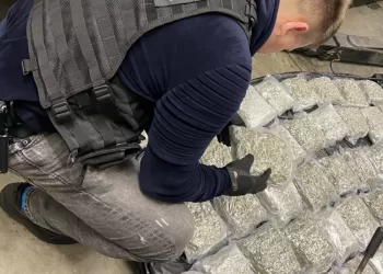 Kauno Teisėsauga Aptiko Beveik 24 Kilogramus Kanapių (Video)