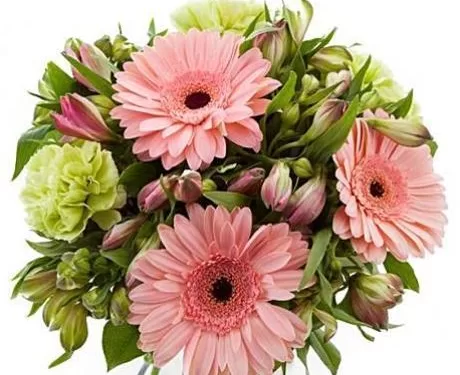 Sausio Mėnesį žinomų Anykštėnų Jubiliejai