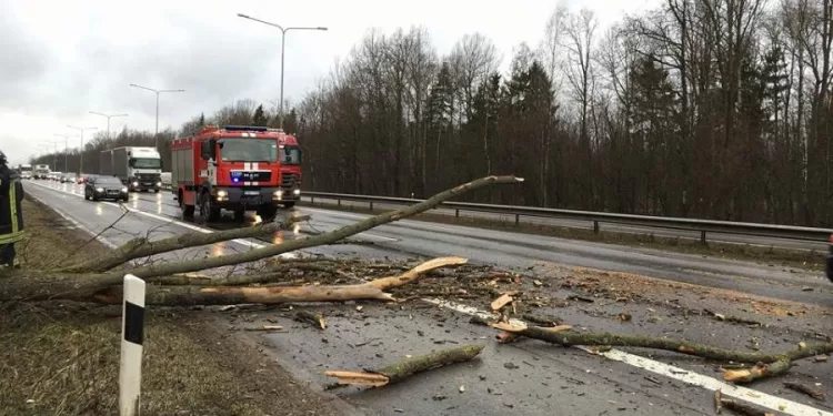 Praėjusią Parą Kaišiadorių Rajone Ugniagesiai Nuo Kelio Pašalino 5 Medžius