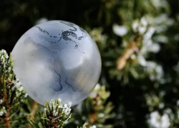 Kur Kaišiadorių Rajone Palikti Kalėdines Eglutes?