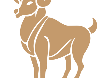 2023-Ieji JUODOJO VANDENS TRIUŠIO METAI