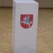 Rinkimų Ekspertė L. Matjošaitytė: Kaip Tinkamai Pasiruošti Rinkimams?
