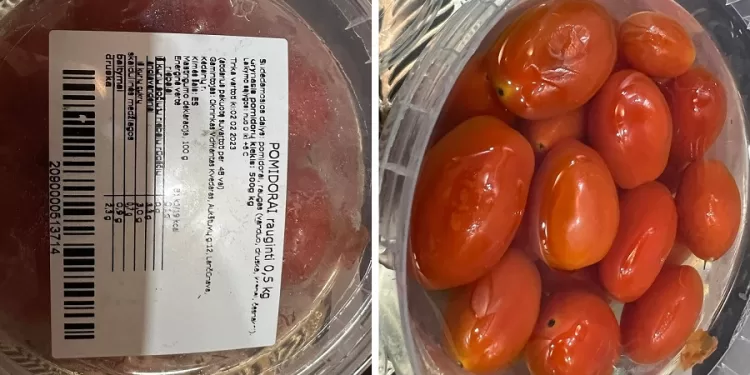 rauginti-pomidorai