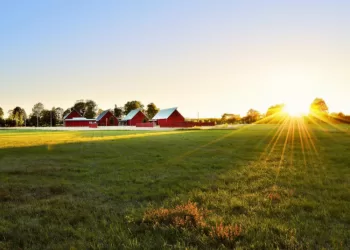 Vietos Plėtros Poreikiams – Konkrečios Paramos Priemonės