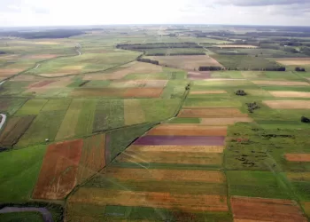 2022 M. Atlikta Beveik 10 Tūkst. žemės Naudojimo Patikrinimų