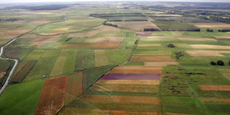 2022 M. Atlikta Beveik 10 Tūkst. žemės Naudojimo Patikrinimų 2022 M. Atlikta Beveik 10 Tūkst. žemės Naudojimo Patikrinimų