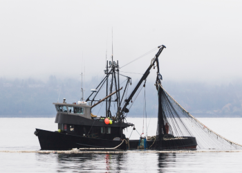 Kuršių Mariose Nebebus Galima Naudoti Tam Tikrų Verslinės žvejybos įrankių