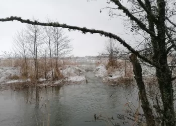 Dėmesio! Sparčiai Kyla Strėvos Upės Vandens Lygis, Galimas Potvynio Pavojus