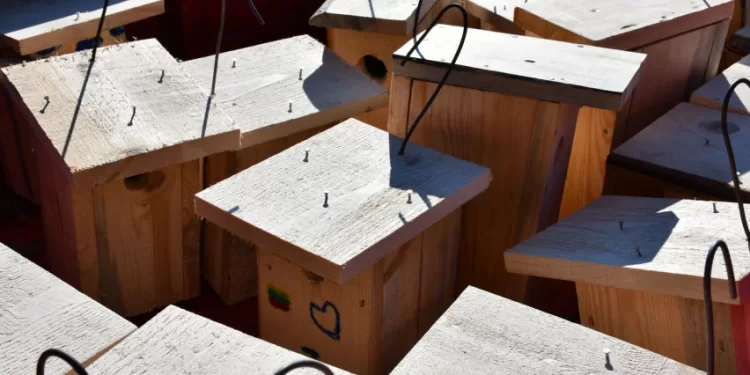 Miškininkai Ruošiasi Pavasariniam Paukščių Sugrįžimui Ir Pataria, Kaip Tinkamai Paruošti Namus Sparnuočiams Miškininkai Ruošiasi Pavasariniam Paukščių Sugrįžimui Ir Pataria, Kaip Tinkamai Paruošti Namus Sparnuočiams