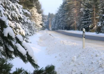Ruošiamasi Rekonstruoti Krašto Apsaugai Svarbų Valstybinės Reikšmės Kelią Švenčionių Rajone