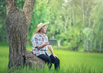 Kaip Pradėti Ekologinės Gamybos Sertifikavimą?