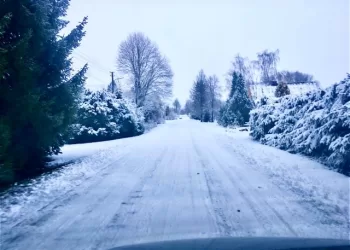 Fotofaktas. Daujočiuose Ir Vienas Lauke – Karys