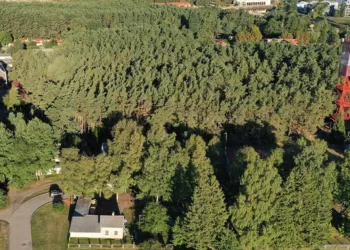 Palanga Pradeda Kovą Dėl Šventosios švyturio