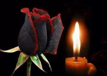 Mirė Alfa Janišienė