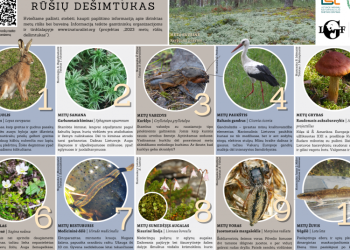 Sudarytas 2023 Metų Rūšių Dešimtukas