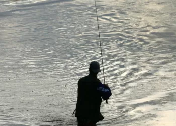 Žvejams Kai Kas Draudžiama žvejoti, Kai Kas Leidžiama