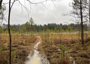 Pasivaikščiokime Po Pakalnių Telmologinį Draustinį