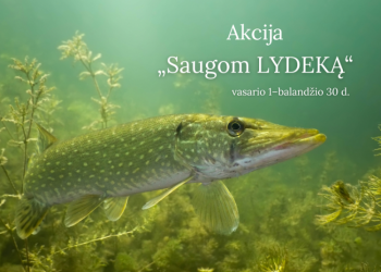 Aplinkosaugininkai Pradeda Akciją „Saugom Lydeką 2023“