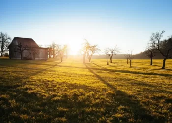 Parengta Paramos Už žemės ūkio Naudmenas Ir Kitus Plotus Teikimo Tvarka