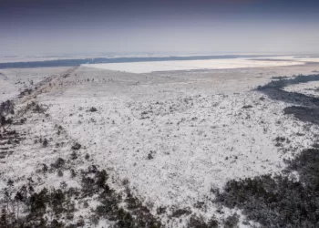 Minima Pasaulinė Pelkių Diena: Kviečiame Susipažinti Su Vertingiausiomis šalies Pelkėmis