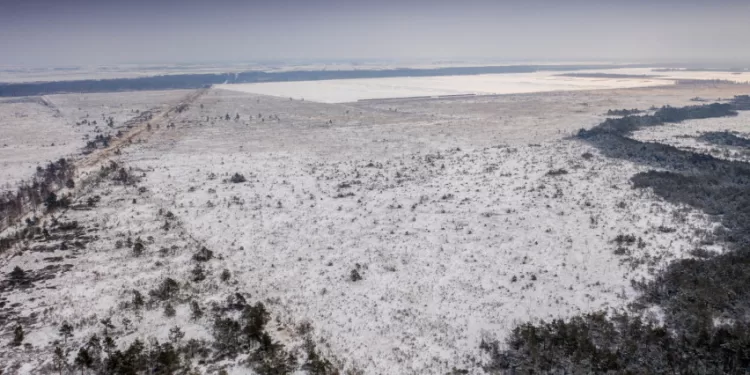 Minima Pasaulinė Pelkių Diena: Kviečiame Susipažinti Su Vertingiausiomis šalies Pelkėmis