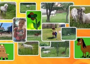 Skatins Vaikus Ir Jaunimą Domėtis Gyvulininkyste