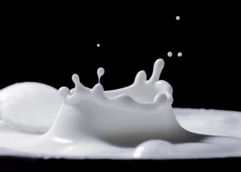 Numatytos Neatidėliotinos Priemonės Ir Pagalba Pieno ūkiams