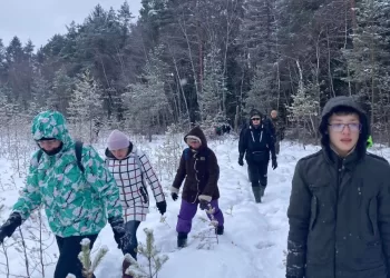 Klampojo Po Pavirinčių – Pakalnių Pelkę