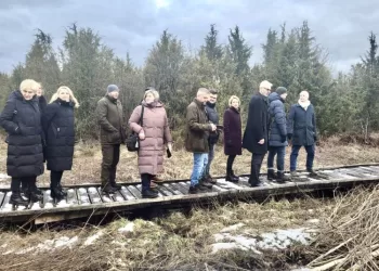 Atsigauna Lietuvos Kadagynai: Kadagių Slėnyje Atnaujintas Pažintinis Takas, Šauklių Riedulyne Bus Didinama Muflonų Banda