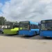 Informacija Dėl Autobusų Maršrutų Jieznas–Kaunas Ir Pravieniškės–Kaunas