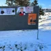 Burbiškis Kandidatų Nemyli Burbiškis Kandidatų Nemyli