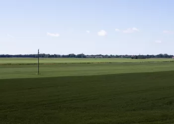 Nacionalinė žemės Tarnyba Plėtoja Elektroninių Paslaugų Teikimą