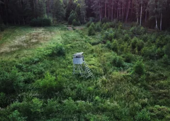 Švininiais šratais Uždrausta Medžioti Ir Juos Nešiotis šlapžemėse Ar Aplink Jas