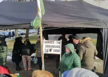 Visai Rimtai. Smegenų Tryda