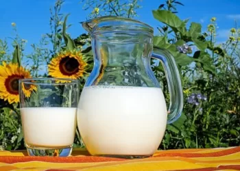 Ministras K. Navickas: ,,Pieno Sektoriui Reikalinga Struktūrinė Pertvarka“