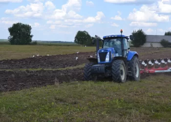 Daugiausia Skolinga Liks  UAB Kupiškio Plytų Gamykla